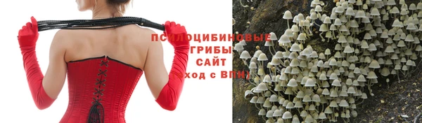 мескалин Баксан