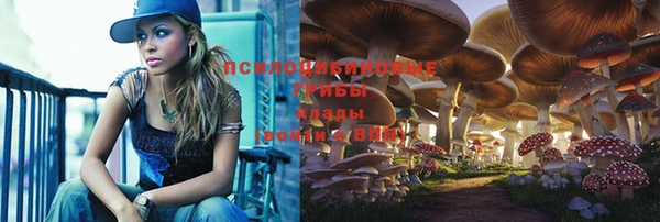 соль курить ск Осинники