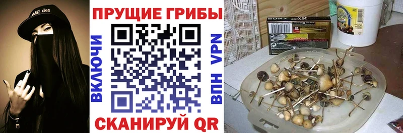 Галлюциногенные грибы мицелий  сколько стоит  Олёкминск 