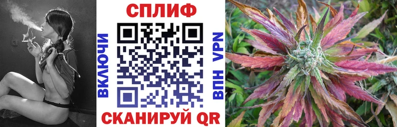 маркетплейс формула Олёкминск Каннабис план